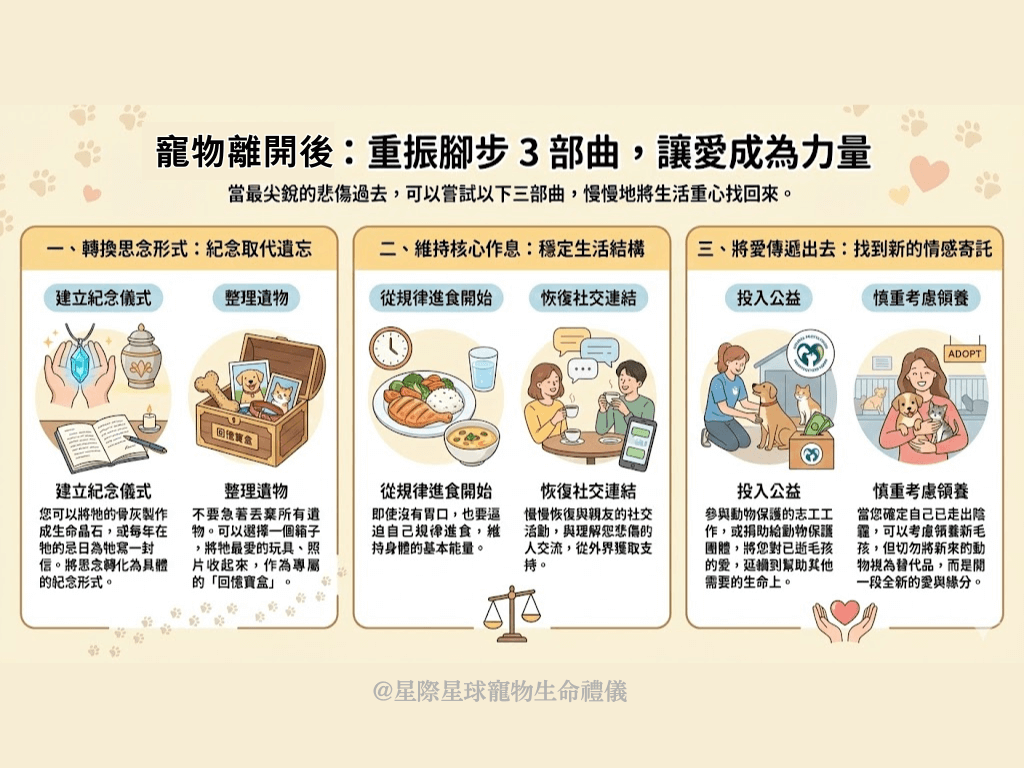 寵物離開後：重振腳步3部曲，讓愛成為力量