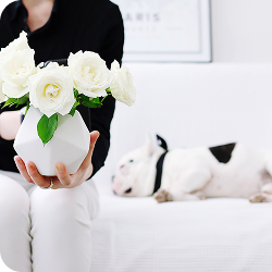 飼主分享-凌晨協助