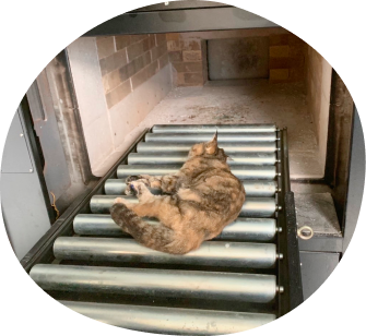 24小時接體服務