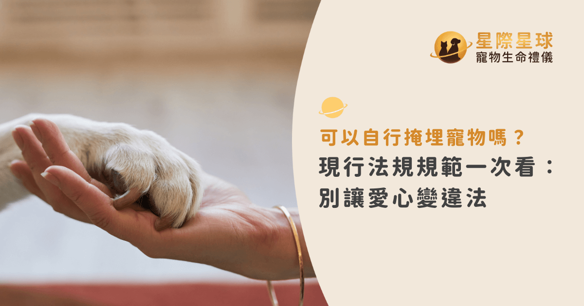 可以自行掩埋寵物嗎？現行法規規範一次看：別讓愛心變違法