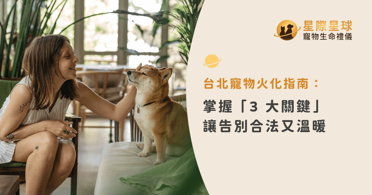 台北寵物火化指南：掌握「3 大關鍵」讓告別合法又溫暖