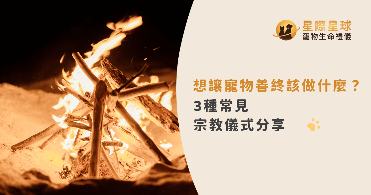 想讓寵物善終該做什麼？3種常見宗教儀式分享
