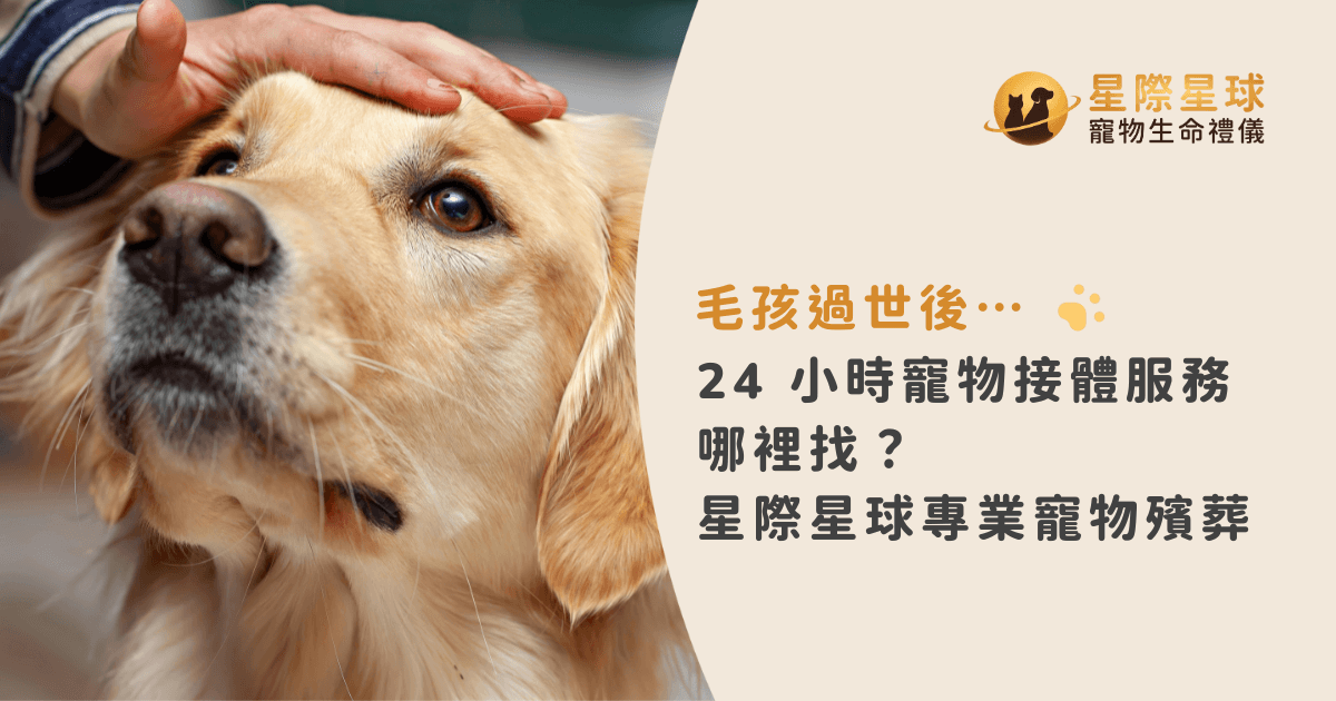 毛孩過世後...24 小時寵物接體服務哪裡找？星際星球專業寵物殯葬