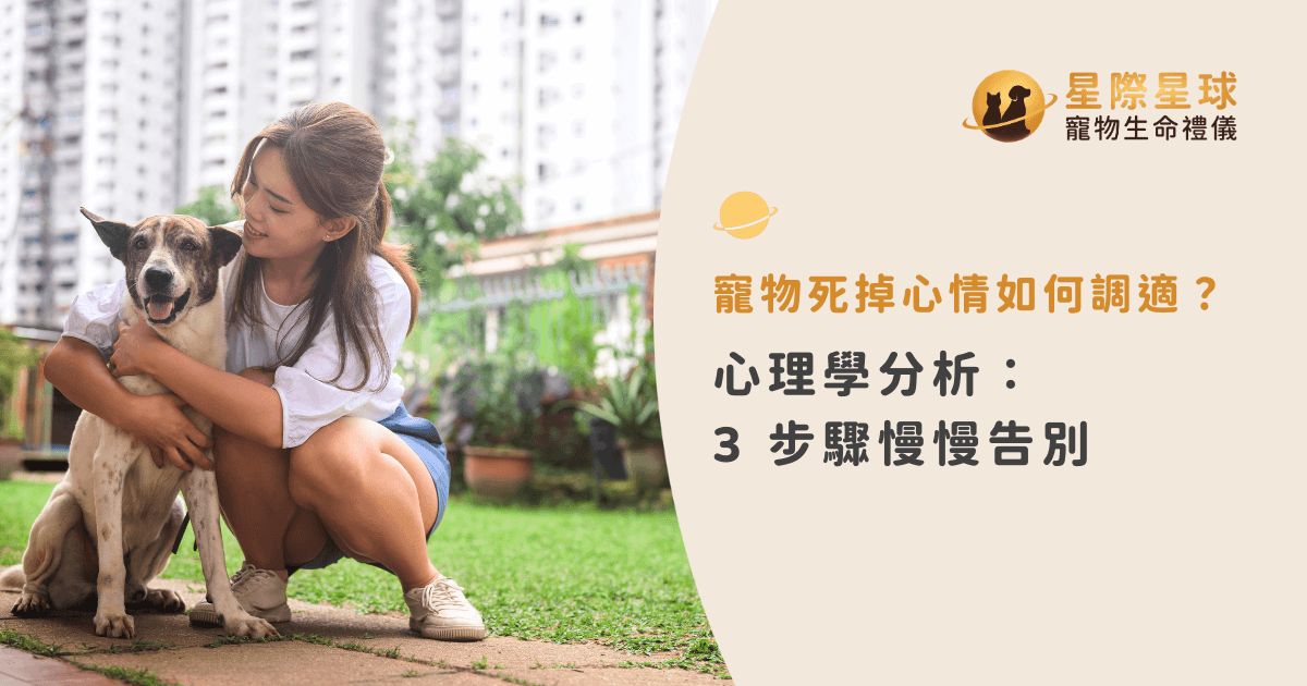 寵物死掉心情如何調適？心理學分析：3步驟慢慢告別