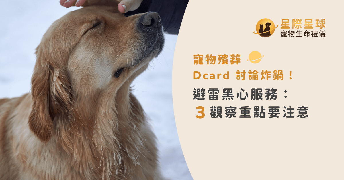 寵物殯葬 Dcard 討論炸鍋！避雷黑心服務：3 觀察重點要注意
