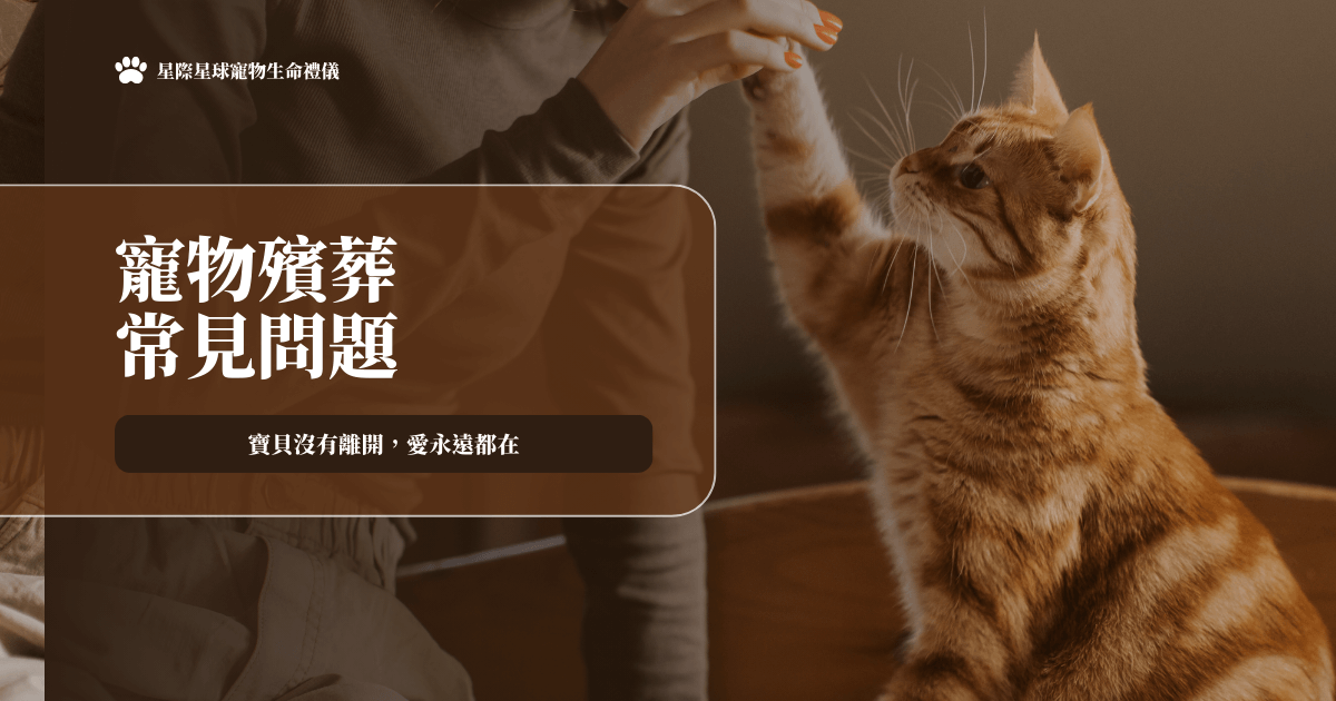 寵物殯葬常見問題:陪伴寶貝走完最後一段路