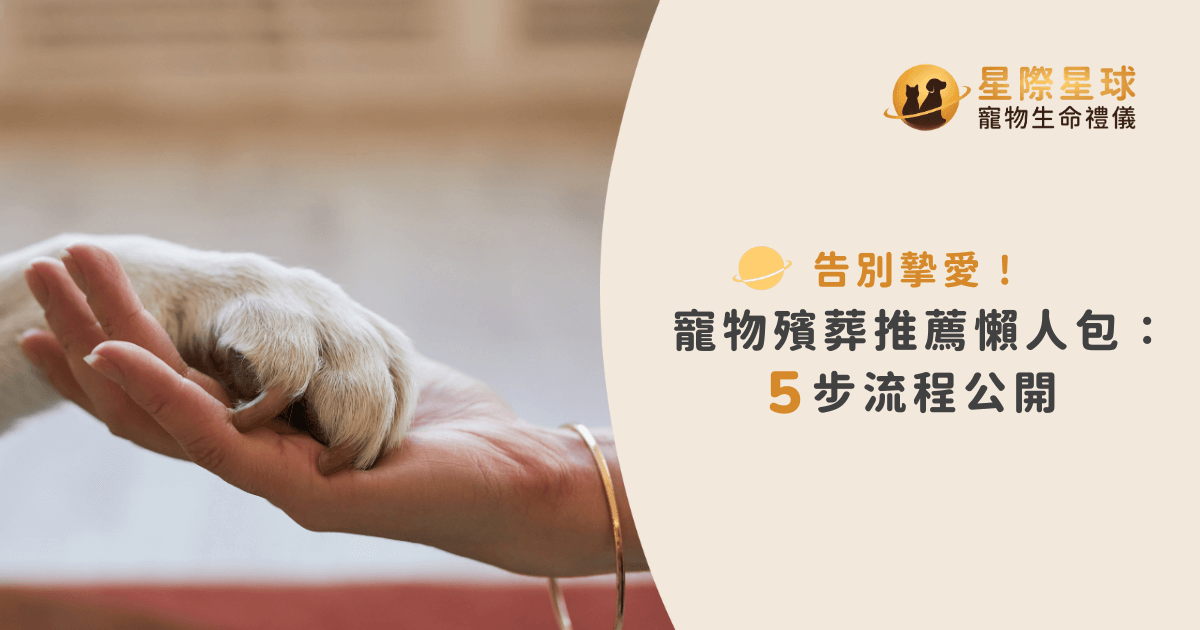 告別摯愛！寵物殯葬推薦懶人包：5步流程公開