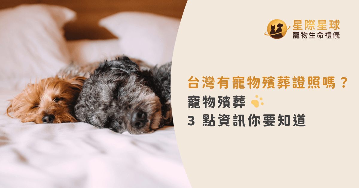 台灣有寵物殯葬證照嗎？寵物殯葬 3 點資訊你要知道