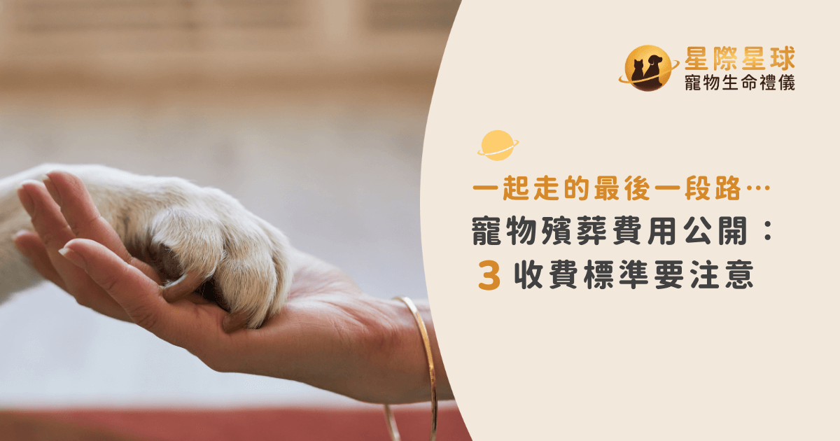 一起走的最後一段路…寵物殯葬費用公開：3收費標準要注意