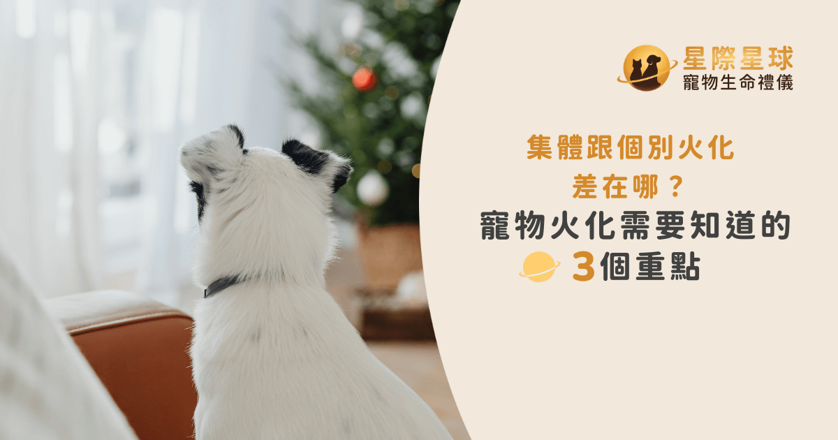 集體與個別火化差在哪？寵物火化需要知道的 3 個重點