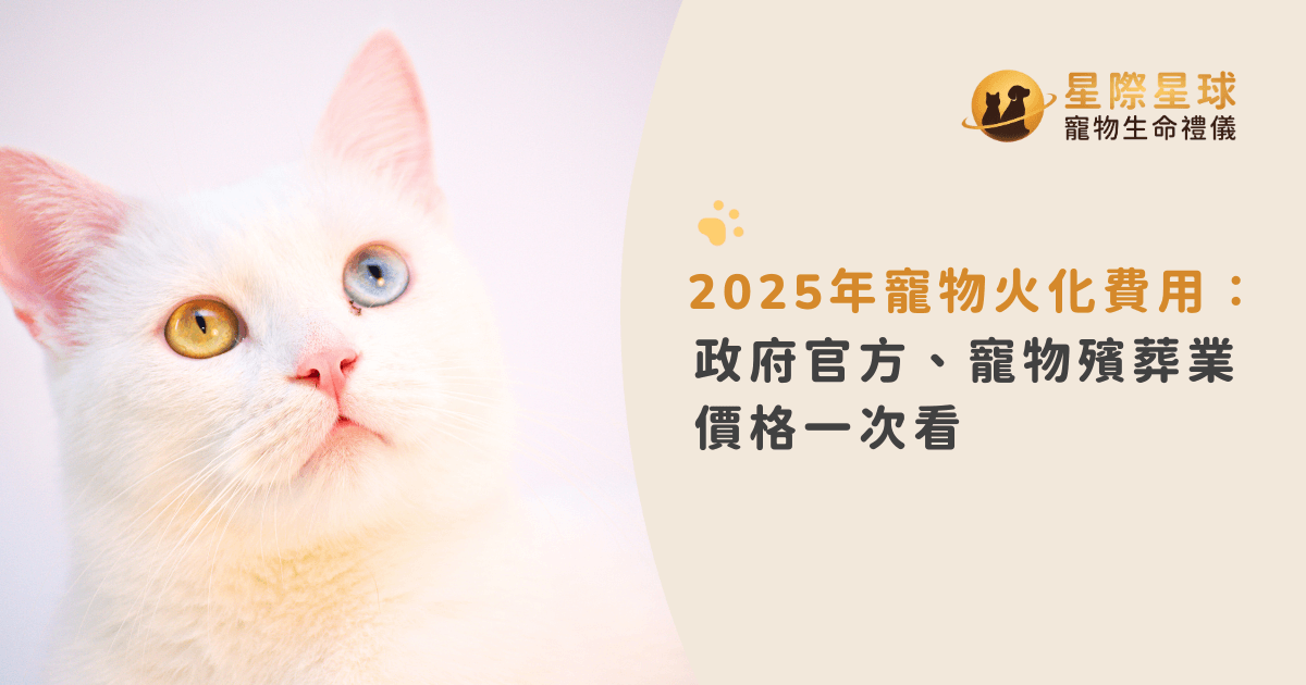 2025年寵物火化費用：政府官方、寵物殯葬業價格一次看