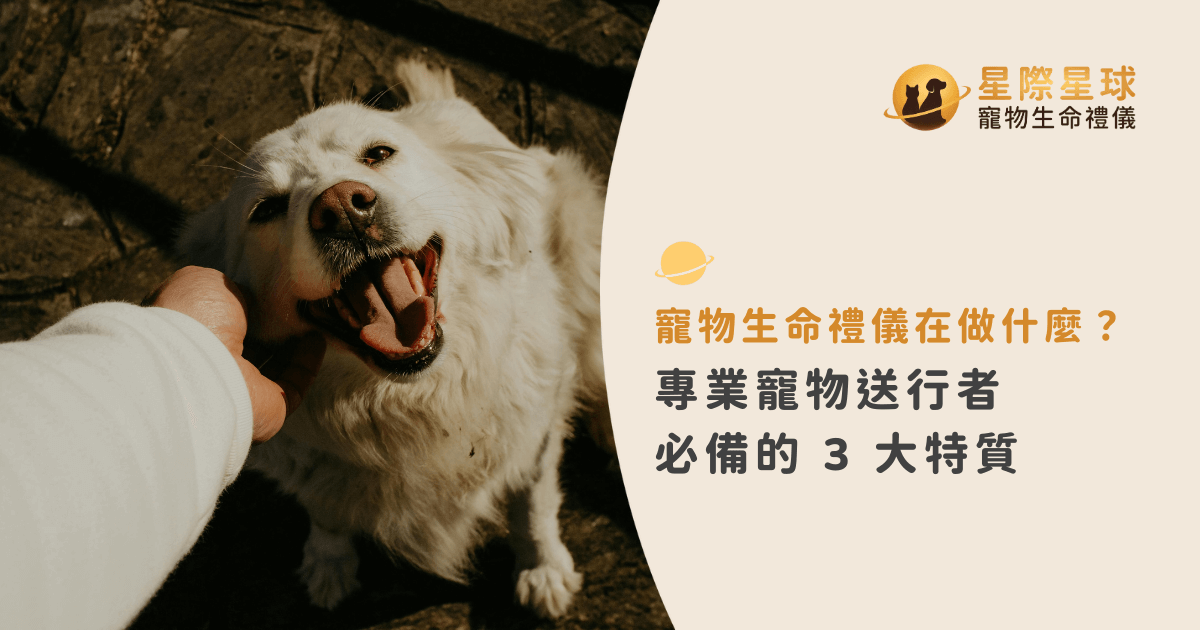 寵物生命禮儀在做什麼？專業寵物送行者必備的 3 大特質
