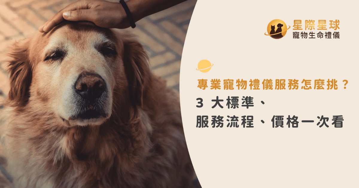 專業寵物禮儀服務怎麼挑？3 大標準、服務流程、價格一次看