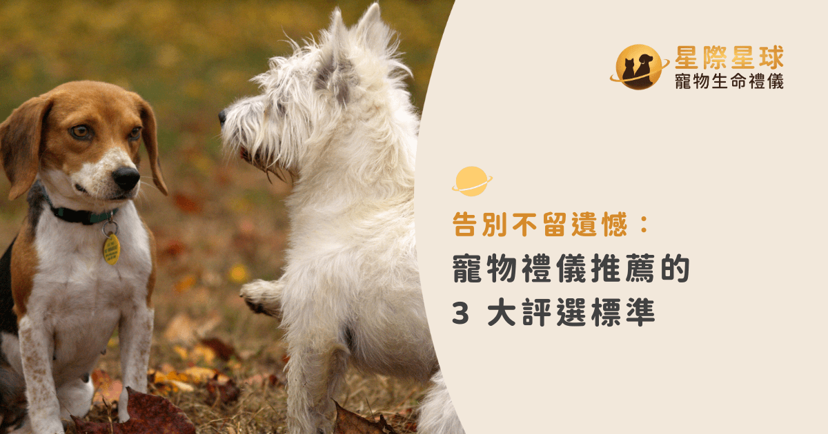 告別不留遺憾：寵物禮儀推薦的 3 大評選標準