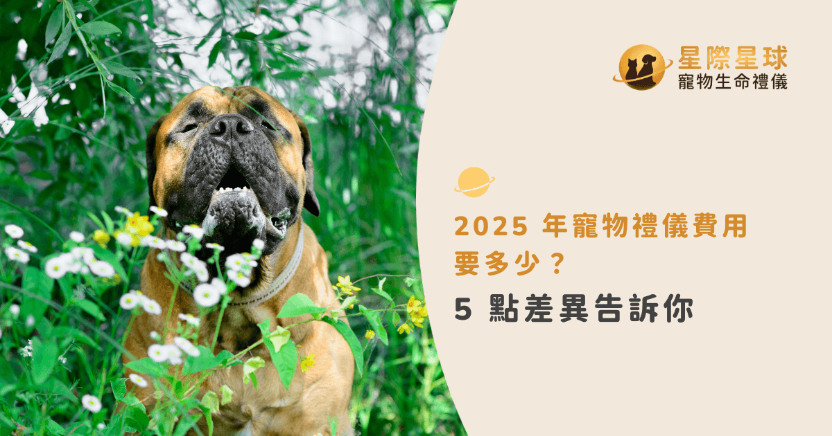 2025 年寵物禮儀費用要多少？5 點差異告訴你