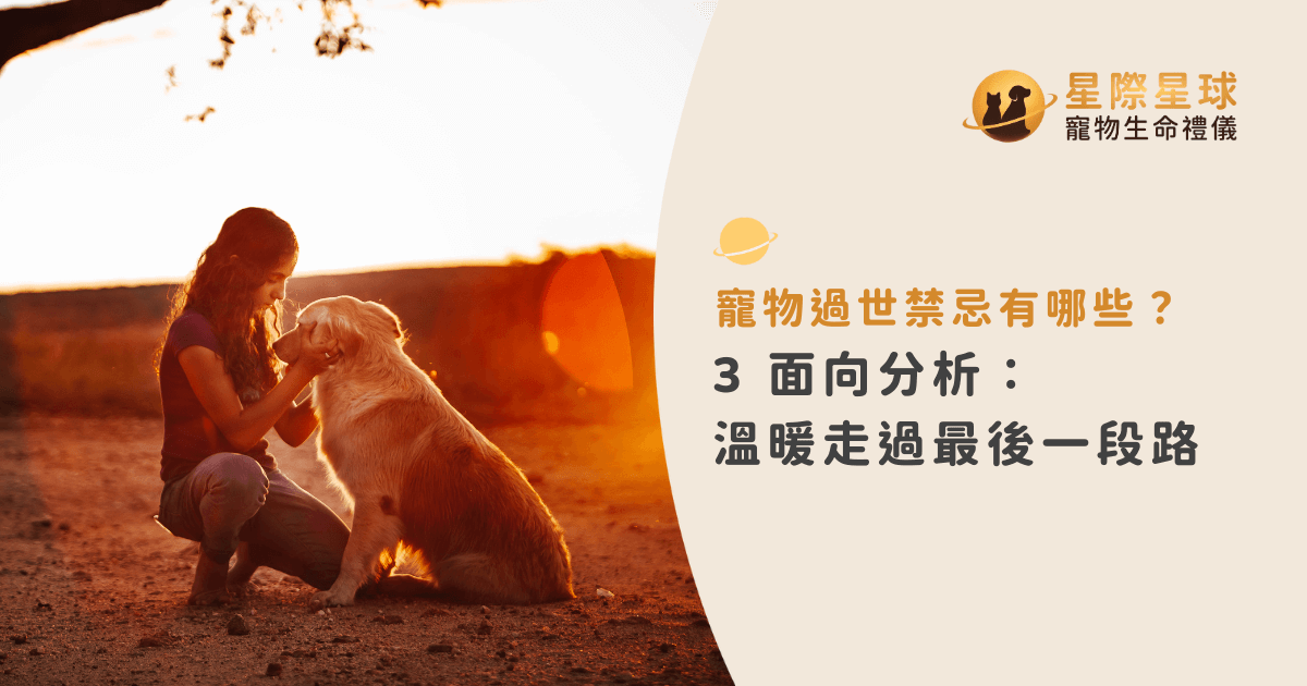 寵物過世禁忌有哪些？3 面向分析：溫暖走過最後一段路