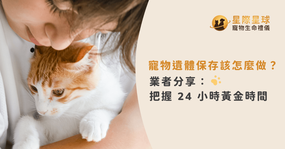寵物遺體保存該怎麼做？業者分享：把握 24 小時黃金時間