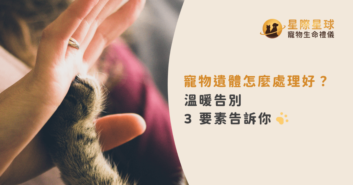 寵物遺體怎麼處理好？溫暖告別 3 要素告訴你