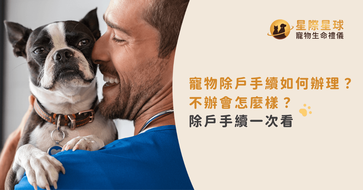 寵物除戶手續如何辦理？不辦會怎麼樣？除戶手續一次看