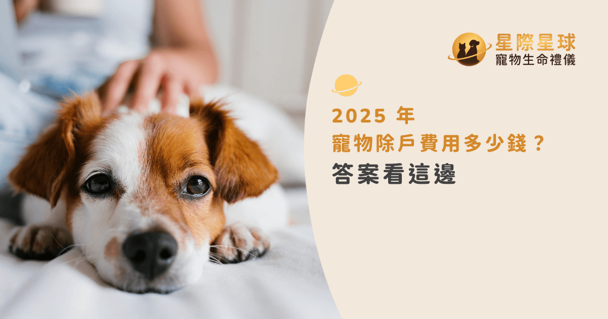 2025 年寵物除戶費用是多少？專業寵物生命禮儀服務指南