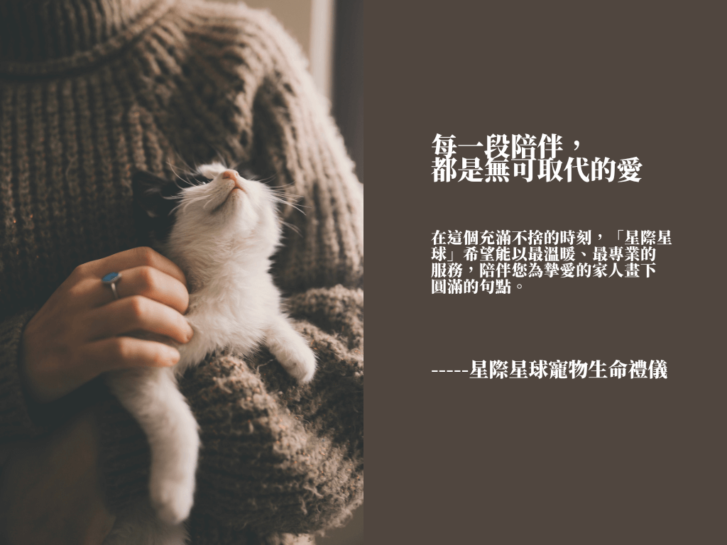 每一段陪伴都是無可取代的愛:星際星球寵物生命禮儀