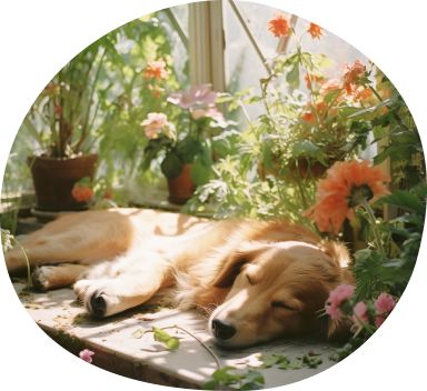 星際星球品牌故事圖片