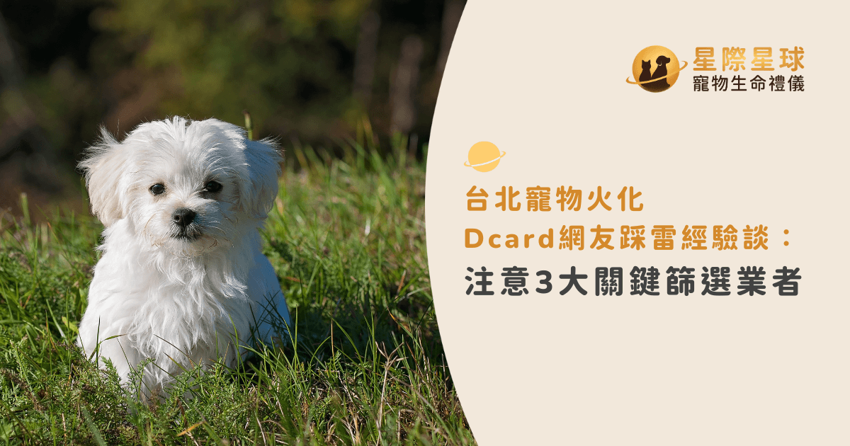 台北寵物火化 Dcard 網友經驗分享：避開雷區的 3 大挑選關鍵