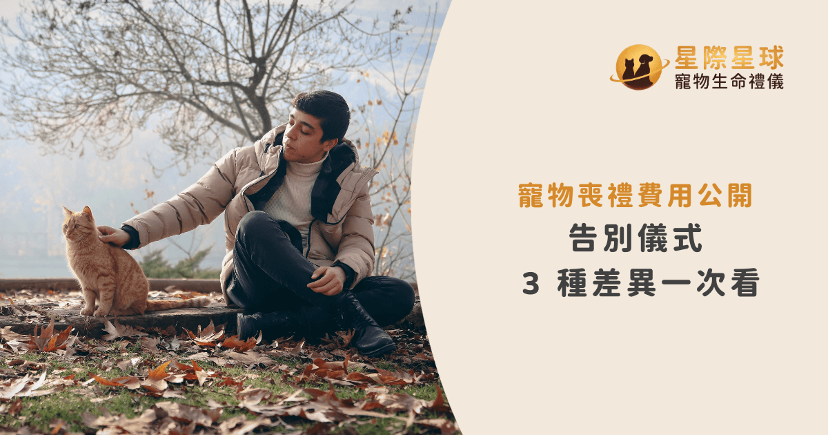 寵物喪禮費用公開：告別儀式 3 種差異一次看