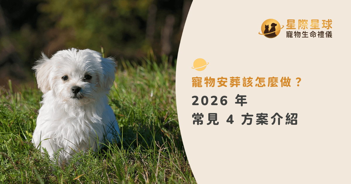 寵物安葬該怎麼做？2026 年常見 4 大方案完整介紹