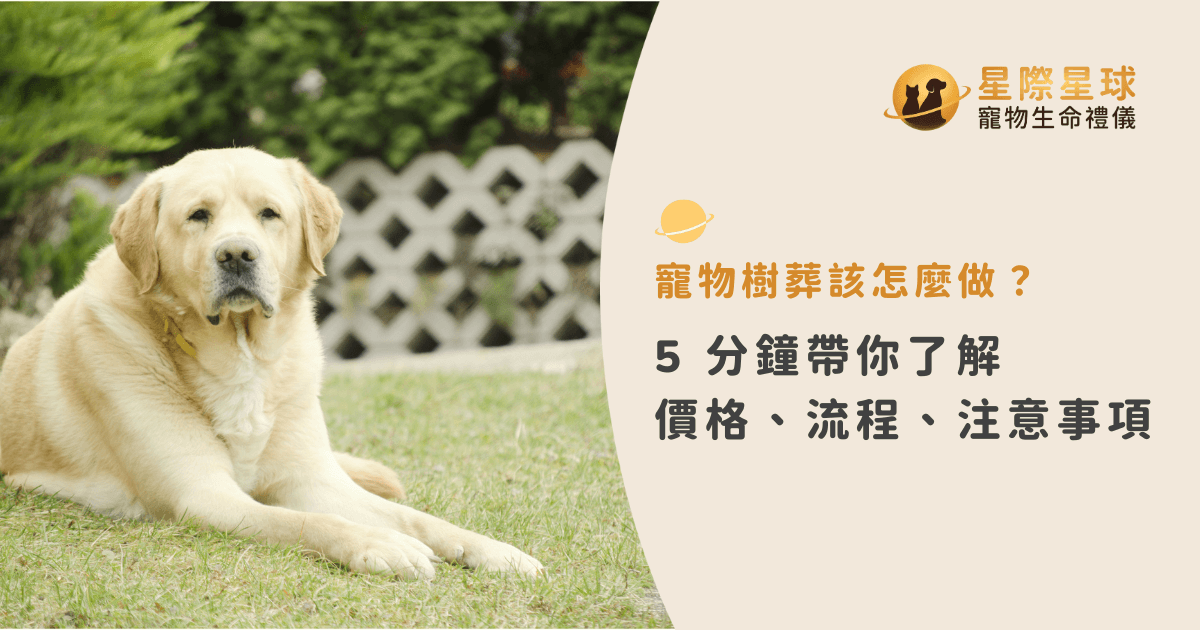 寵物樹葬指南：5 分鐘快速了解價格、流程與注意事項