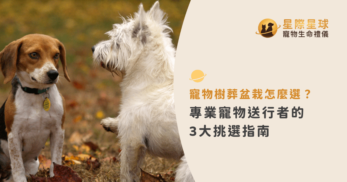 寵物樹葬盆栽怎麼選？專業寵物送行者的 3 大挑選指南