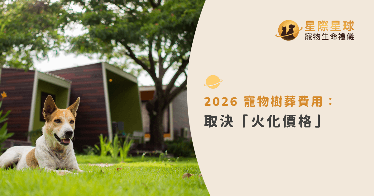 2026 寵物樹葬費用全攻略：關鍵在於火化方式的選擇