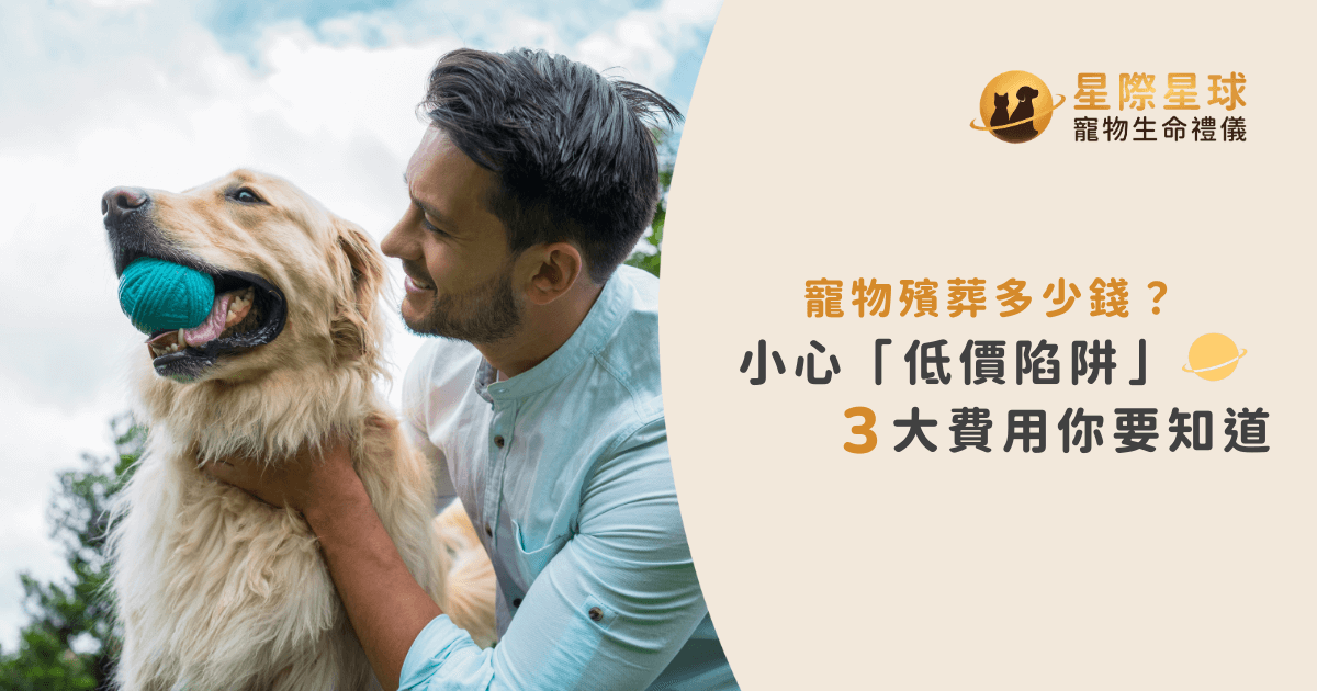 寵物殯葬多少錢？小心「低價陷阱」3 大費用你要知道