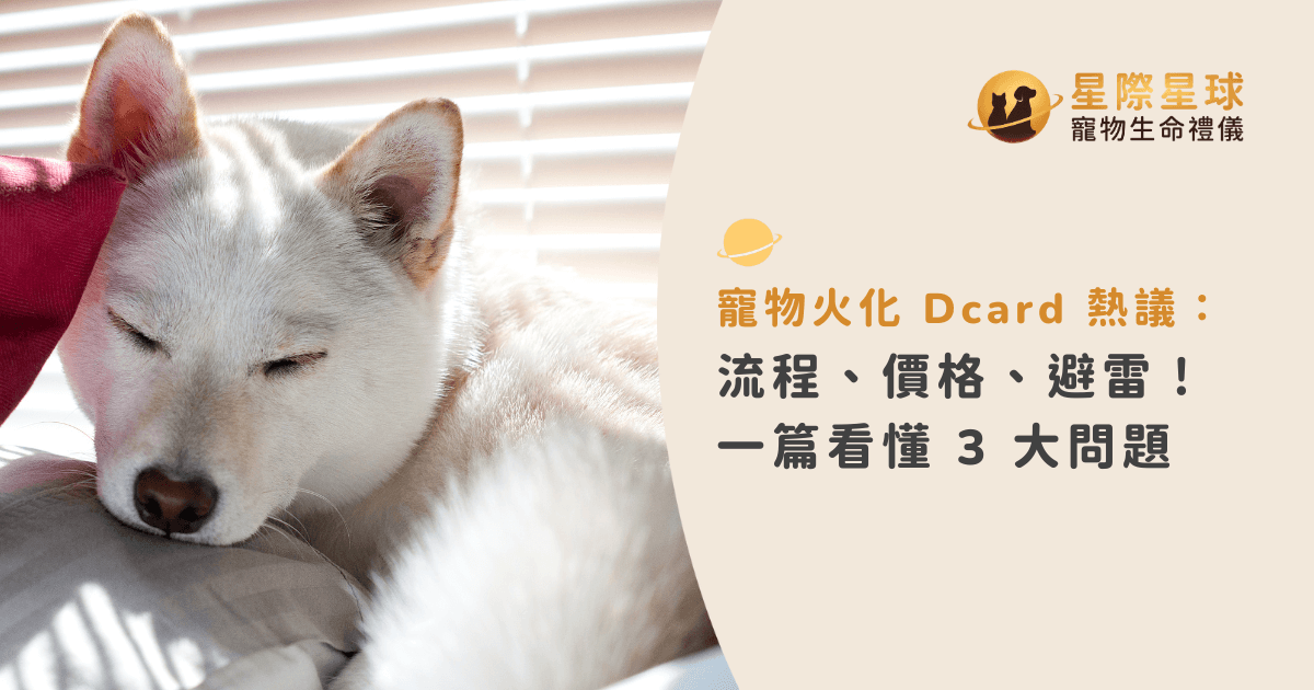 寵物火化 Dcard 熱議：流程、價格、避雷！一篇看懂 3 大問題