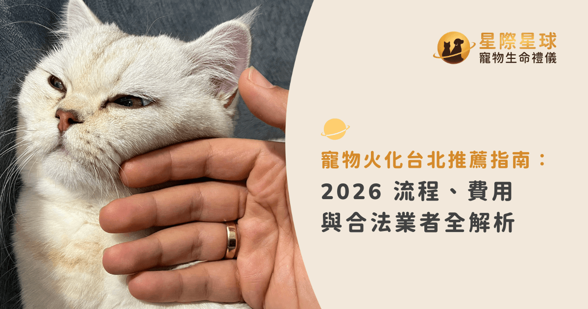寵物火化台北推薦指南：2026 流程、費用與合法業者全解析