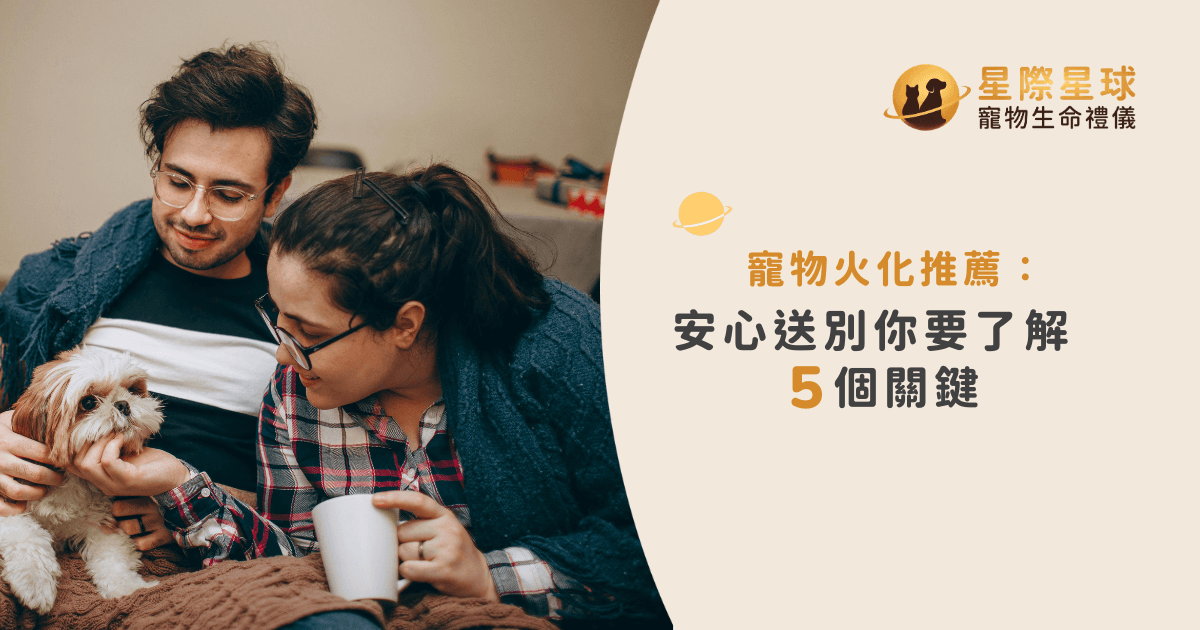 寵物火化推薦：安心送別你要了解的 5 個關鍵