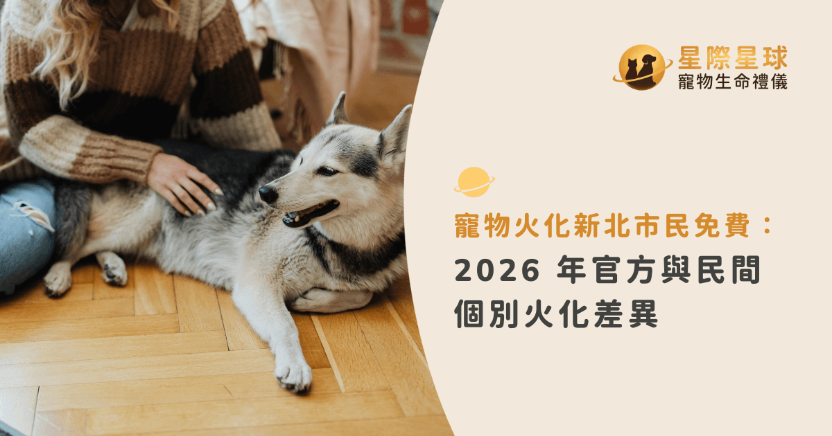 寵物火化新北市民免費：2026 年官方與民間個別火化差異