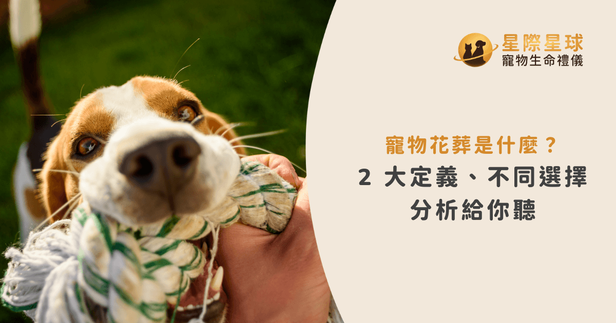 寵物花葬是什麼？2 大定義與不同選擇分析
