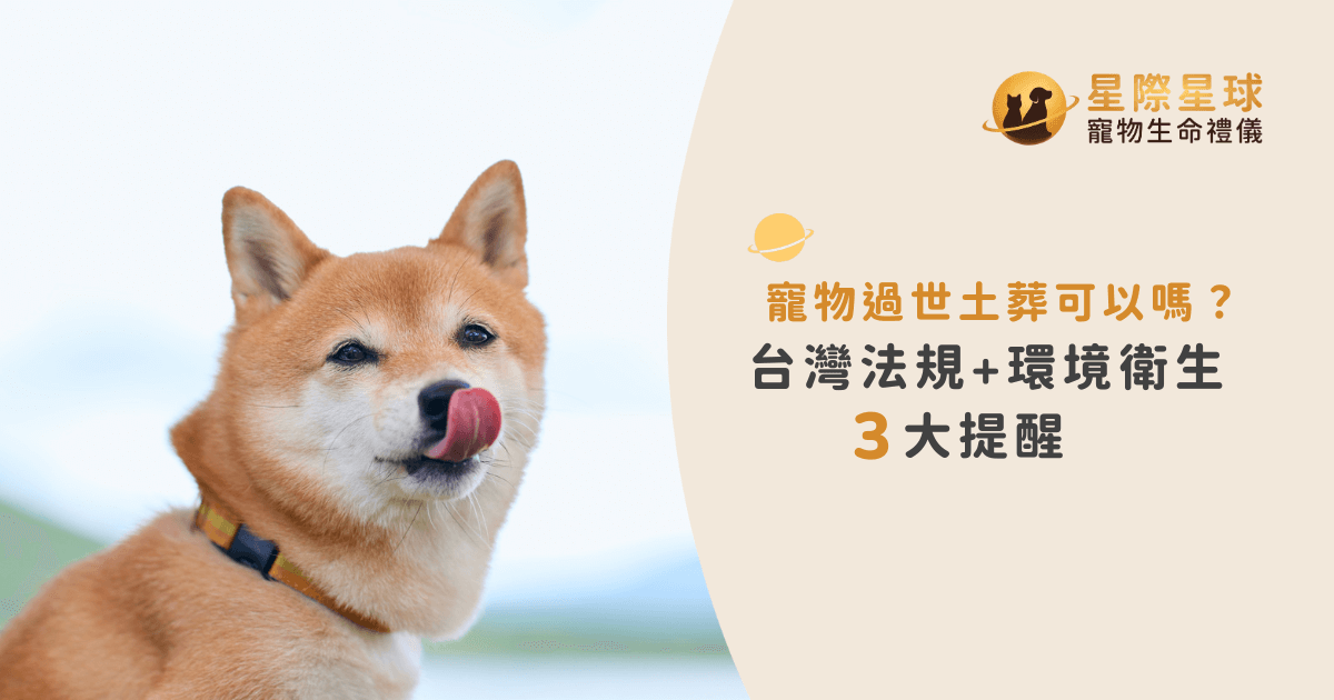 寵物過世土葬可以嗎？台灣法規與環境衛生 3 大提醒