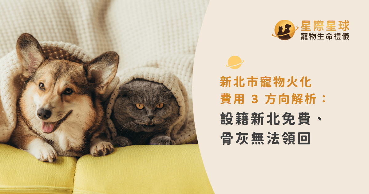 新北市寵物火化費用 3 方向解析：設籍新北免費、骨灰無法領回