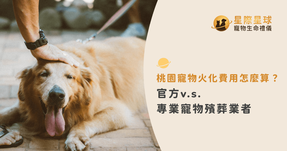 桃園寵物火化費用怎麼算？官方公家單位 v.s. 專業寵物殯葬業者對比