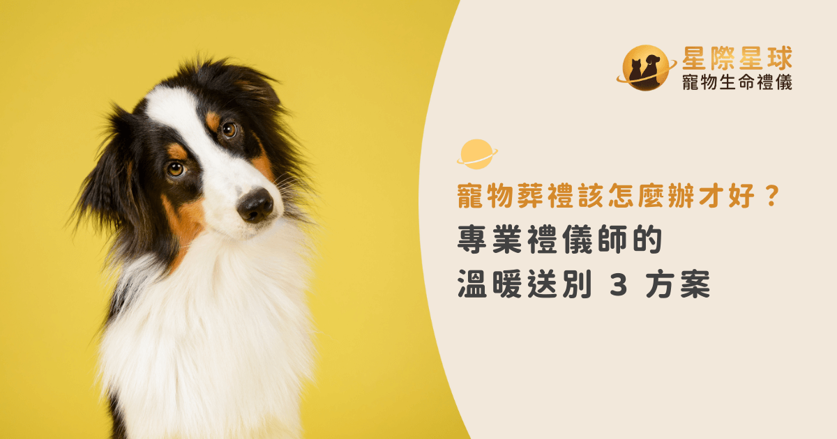 寵物葬禮該怎麼辦才好？專業禮儀師的溫暖送別 3 方案