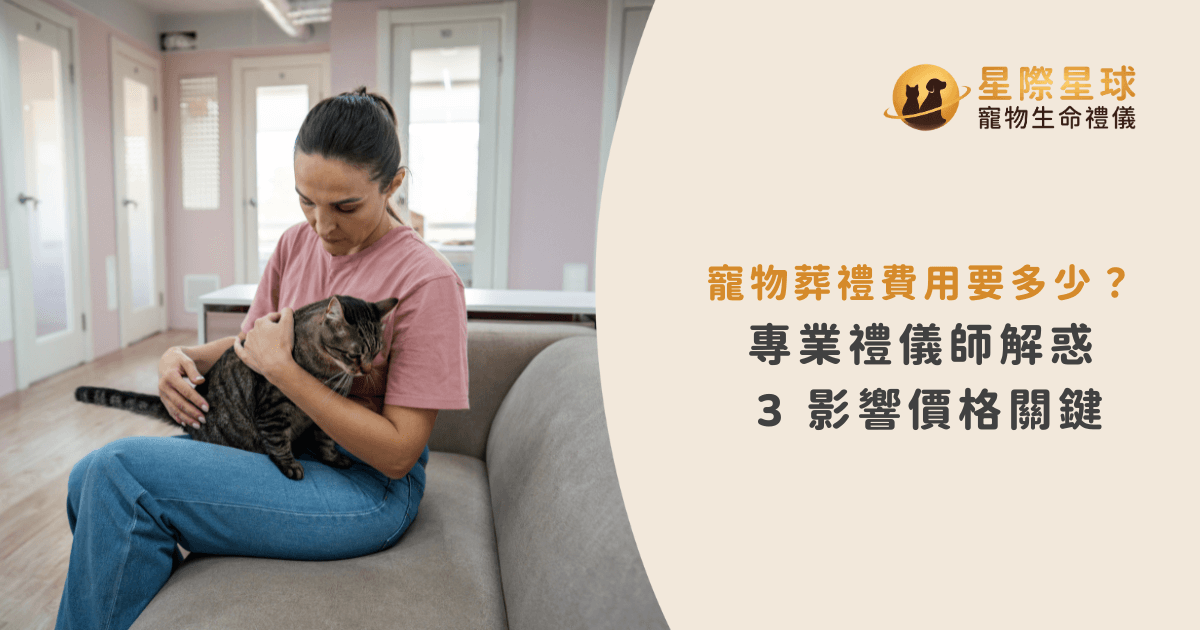 寵物葬禮費用要多少？專業禮儀師解惑 3 影響價格關鍵