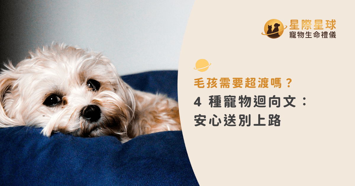 毛孩需要超渡嗎？4 種寵物迴向文：安心送別上路
