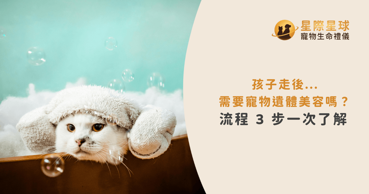 孩子走後...需要寵物遺體美容嗎？流程 3 步一次了解