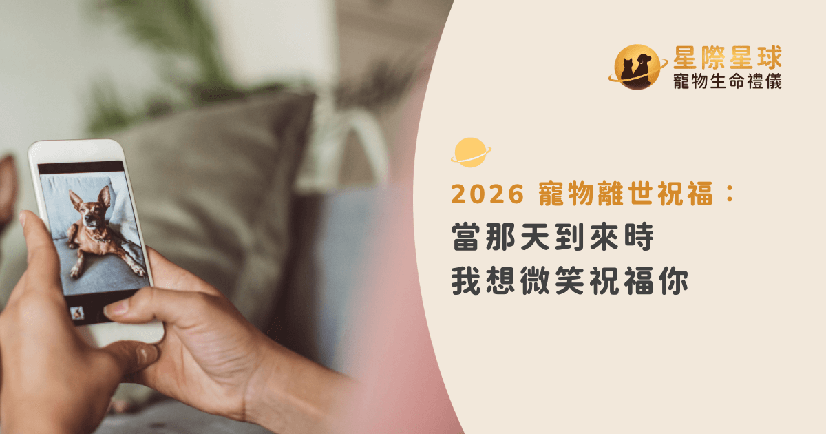 2026 寵物離世祝福：當那天到來時，我想微笑祝福你