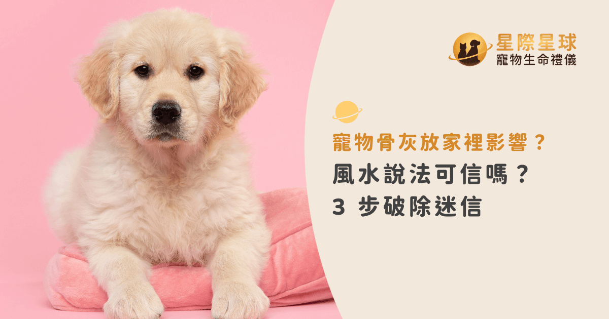 寵物骨灰放家裡影響？風水說法可信嗎？3 步破除迷信