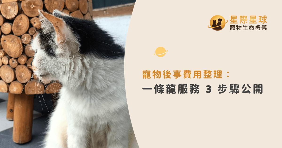 寵物後事費用整理:一條龍服務 3 步驟公開