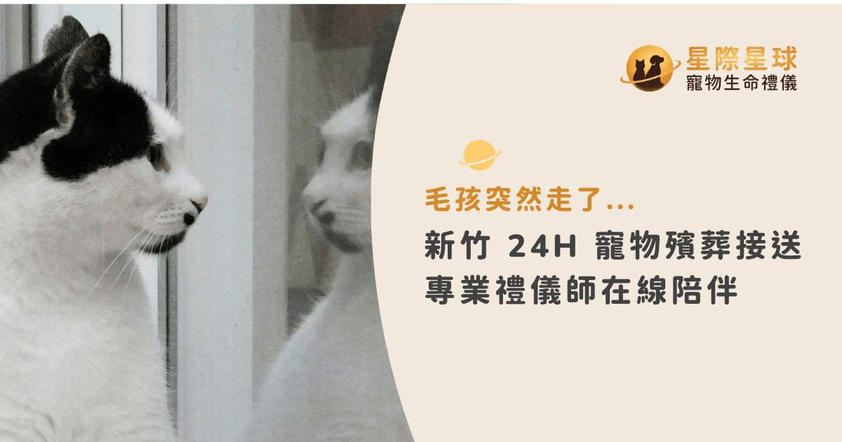 新竹 24H 寵物殯葬接送:專業禮儀師陪您走過毛孩離世的艱難時刻