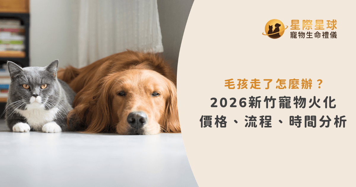 毛孩走了怎麼辦？2026 新竹寵物火化價格、流程、時間分析